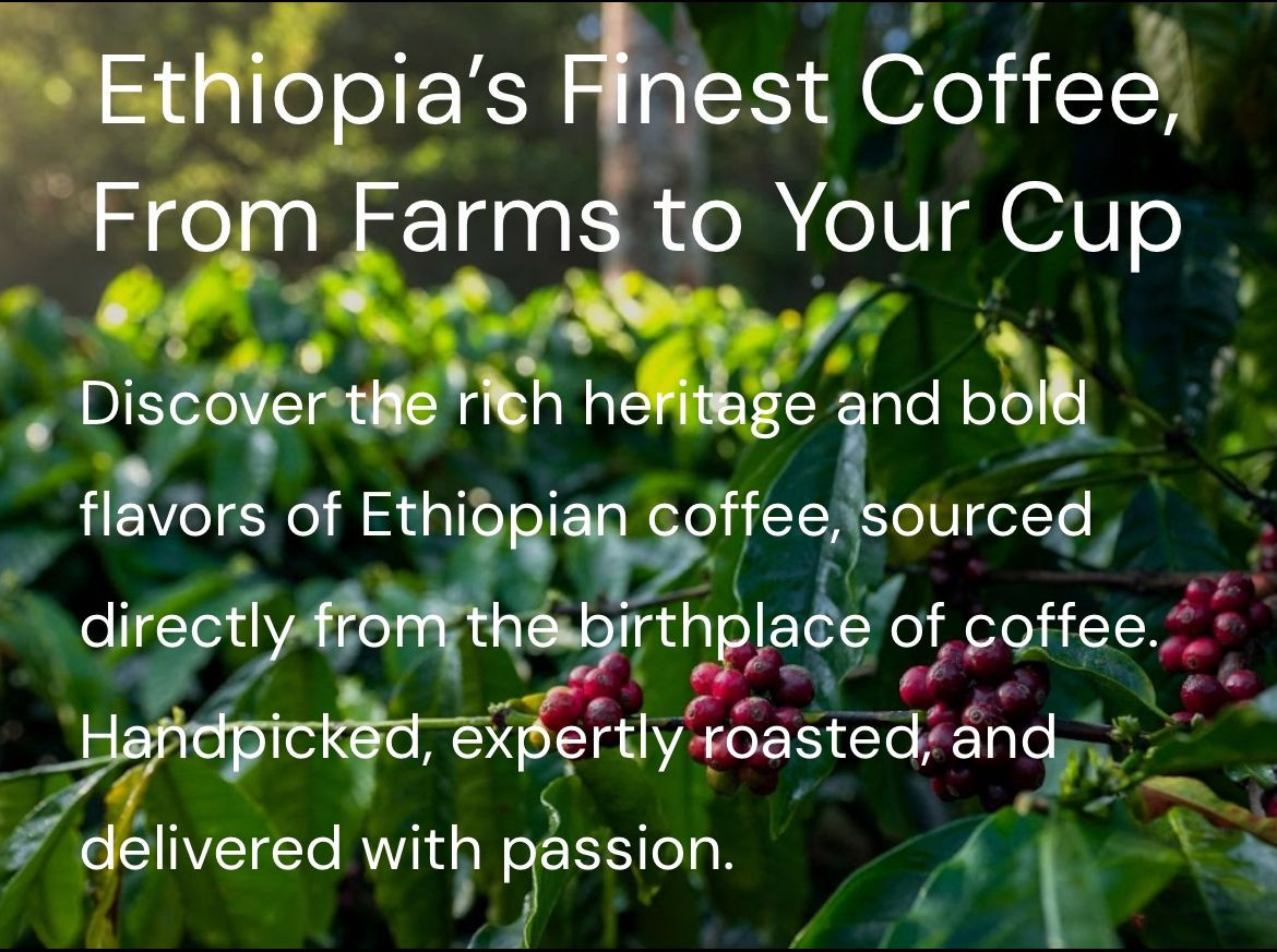 Green arabica coffee beans
