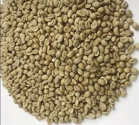 Green arabica coffee beans